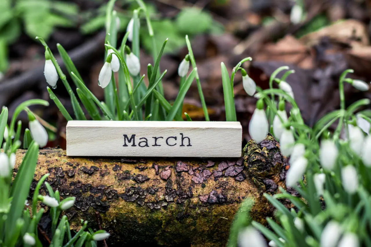 Gardening Jobs for March